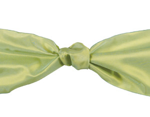 Luxe Ribbon - Fern