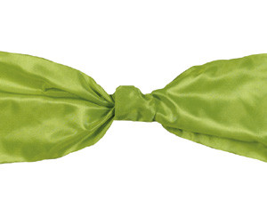 Luxe Ribbon - Lime