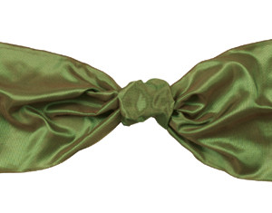 Luxe Ribbon - Tree Frog