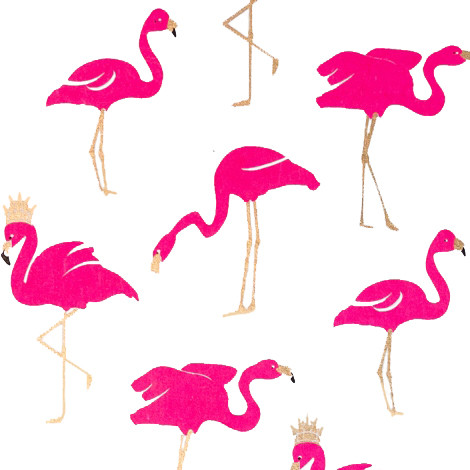 Gift Wrap - Flamingo - White/Pink/Metallic Gold