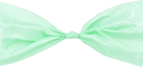 5" Luxe Ribbon - Jade