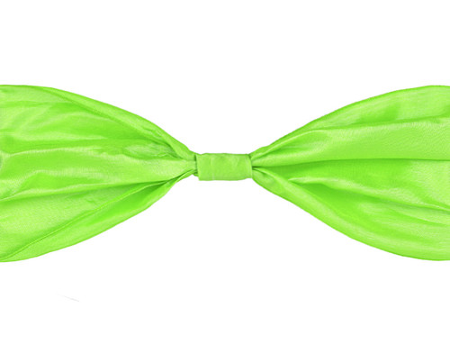 NEW! Luxe Ribbon - Light Green