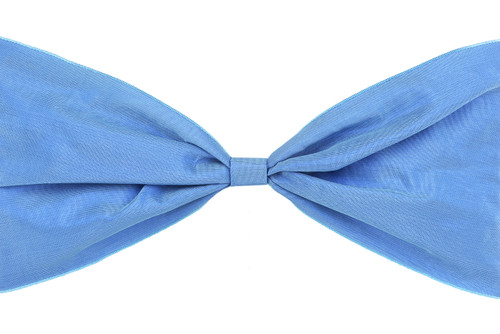 NEW! Luxe Ribbon - Blue
