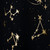 Zodiac Black/Gold Foil Gift Wrap