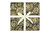 Spiral Black and Gold Metallic Gift Wrap