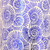 Spiral Cream and Blue Foil Gift Wrap