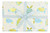 Turtles Cream/Blue/Gold Foil 