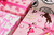 Cowgirl Rose/Brown/White/Pink/Gold Foil Gift Wrap