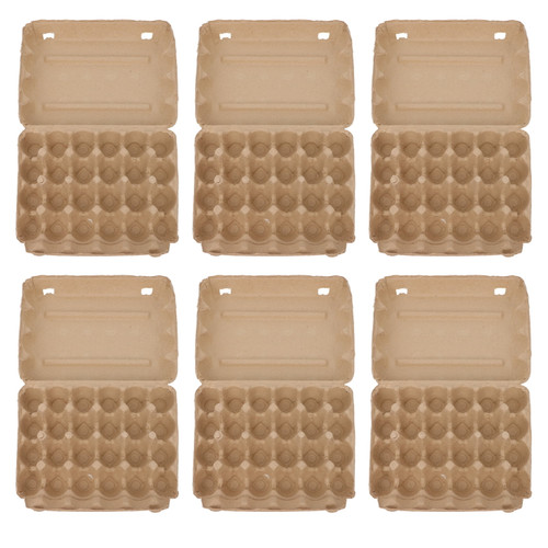 Nicexmas 6pcs Kraft Pulp Egg Trays Egg Cartons For Chicken Eggs Blank Egg Cartons