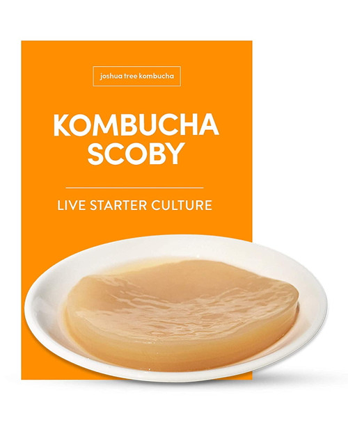 Kombucha Scoby And Starter Tea, Live Kombucha Starter Liquid, Kombucha Tea Starter Culture, Brew Kombucha At Home, Makes A 1 Gallon Batch Of Kombucha, No Vinegar, No Artificial Flavors