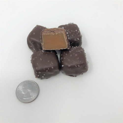Gourmet Sugar Free Sea Salt Caramels Milk Chocolate Vanilla Caramels 1 Pound