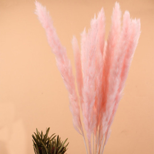 Dried Flower Bouquet Natural Dried Flowers Bouquet Reed Flores Pampas Wheats Ears Setaria For Home Office Decoration