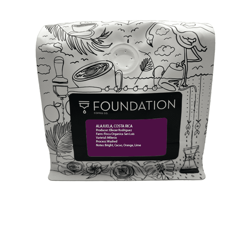 Foundation Coffee - Rotating Single Origin, Whole Bean, Light Medium Roast, 10oz