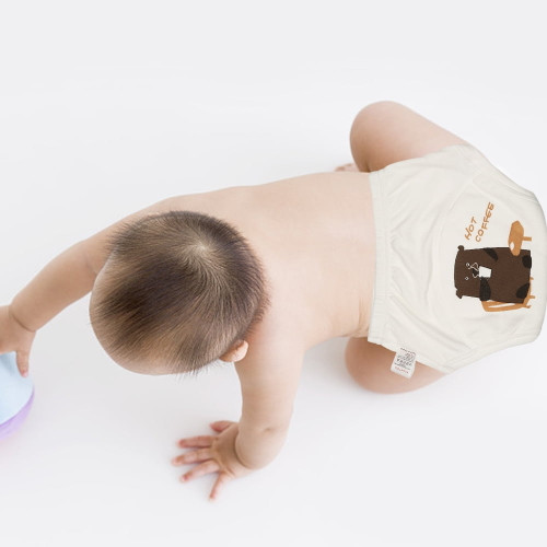 Tebru Cotton Cloth Diaper Waterproof Washable Reusable Breathable For Baby Boy Infant Toddler, Washable Diaper, Pappy