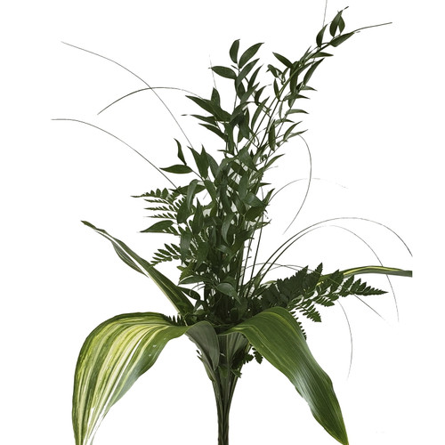 Chic Greens Bouquet 5 Pack Of Farm Direct Fresh Cut Flower Bouquets Of Mixed Greenery By Bloomingmore