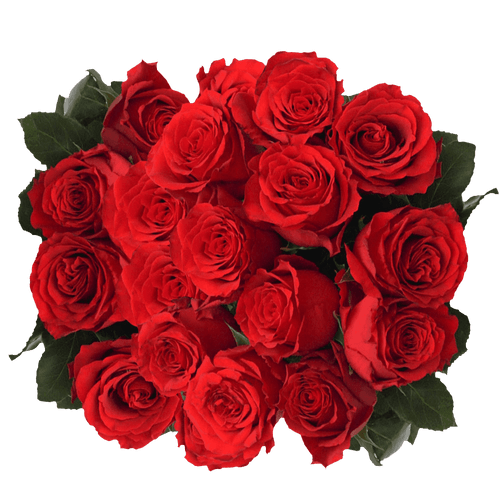 75 Stems Of Undercover Red Roses- Fresh Flower Delivery