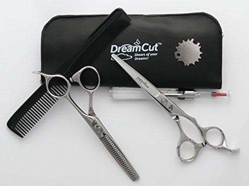 Dreamcut 6" Professional Hair Scissors And Thinning Shears 440c Japanese Stainless Steel Kit