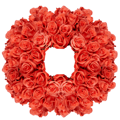 250 Stems Of Movie Star Roses- Fresh Flower Delivery