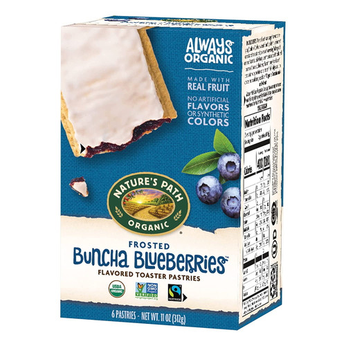 Nature's Path Organic Toaster Pastries Blueberry Frosted -- 11 Oz Pack Of 4