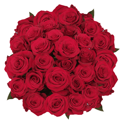 75 Stems Of Lola Roses- Fresh Flower Delivery