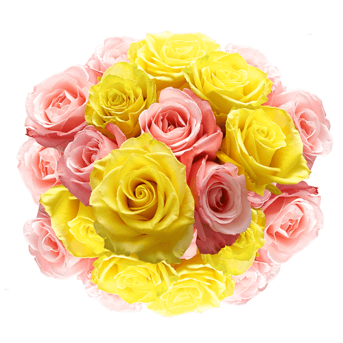 50 Stems Of Roses: 25 Yellow And Pink- Beautiful Fresh Cut Flowers- Express Delivery
