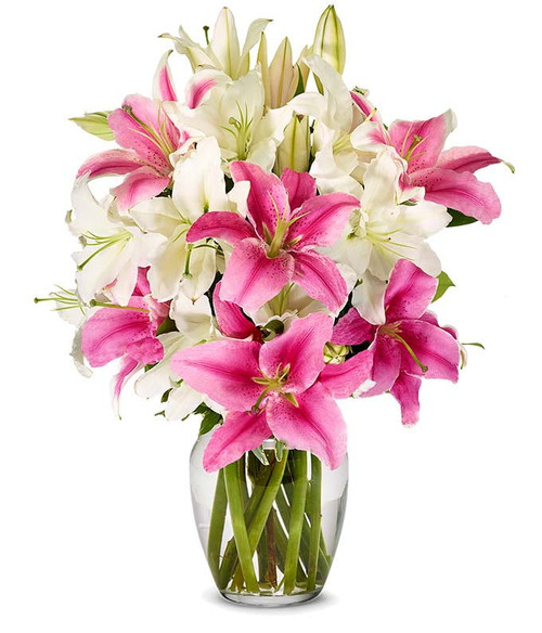 From You Flowers - Stunning Pink And White Lilies With Free Vase (fresh Flowers)