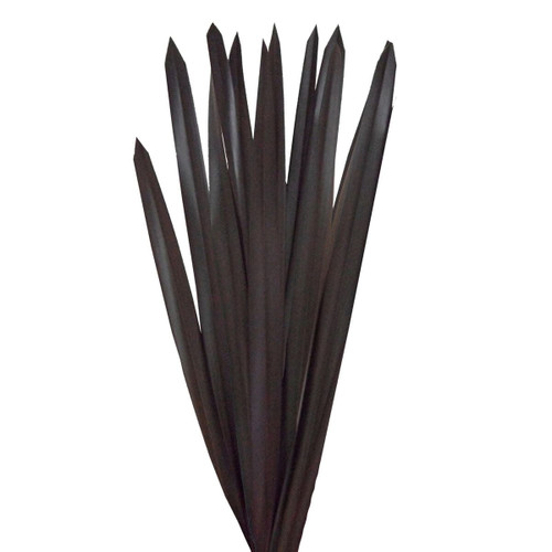 Purple Flax Leaves 50 Cm - Fresh Cut - 200 Stems