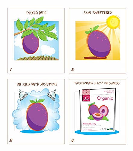 Fruit Bliss Organic Mini Apricots Fruit Snacks 1.76 Oz Each Pack Of 12