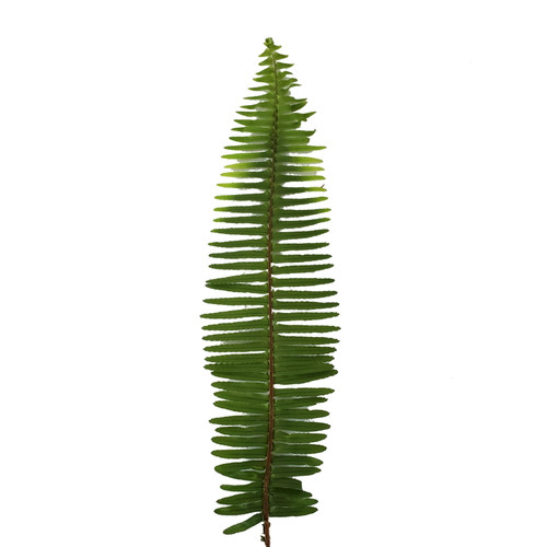 Bloomingmore Everyday Greenery Sword Fern - Fresh Cut - 150 Stems