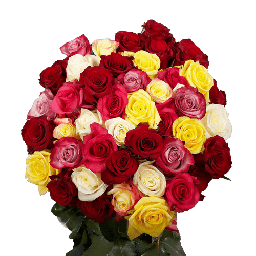 50 Roses 25 Red And 25 One Color