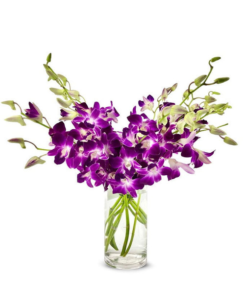 From You Flowers - Purple Dendrobium Orchids With Free Vase (fresh Flowers)