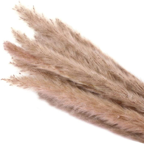 Ikevan Natural Dryness - Wedding Bouquet Is A Favorite Wedding Color Within The Natural