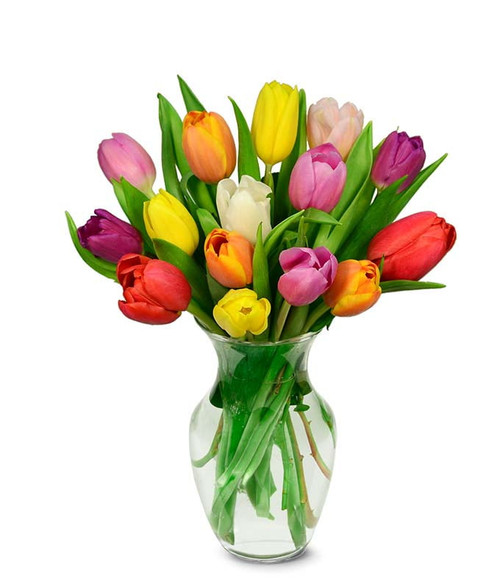 From You Flowers - Rainbow Tulip Bouquet - 15 Stems With Free Vase (fresh Flowers)