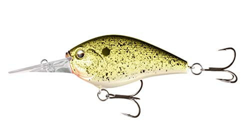 Cliff Banger 12ft Truffle Butter