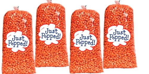 Just Popped 4 Pack Gourmet Hot And Spicy Cheddar Party Popcorn (72 Cups Per Case)
