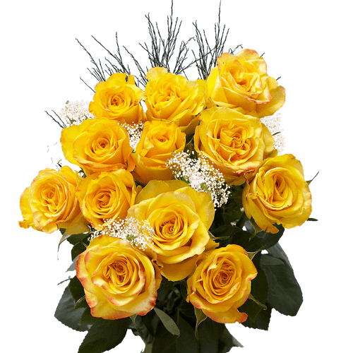 One Dozen Yellow Roses With Baby's Breath And Green- Fresh Flower Delivery