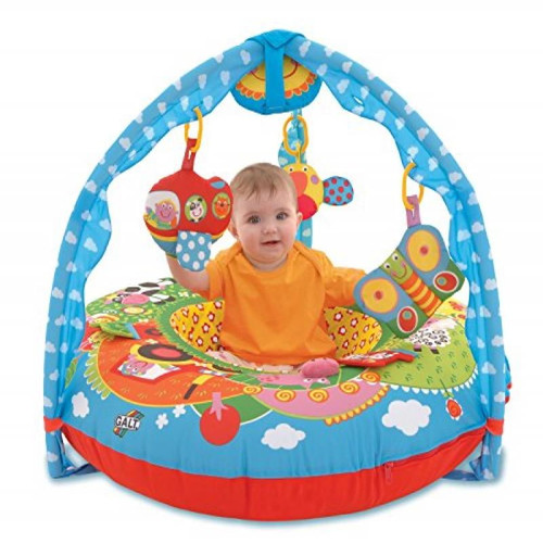 Galt Toys, Playnest & Gym - Farm, Baby Activity Center & Floor Seat