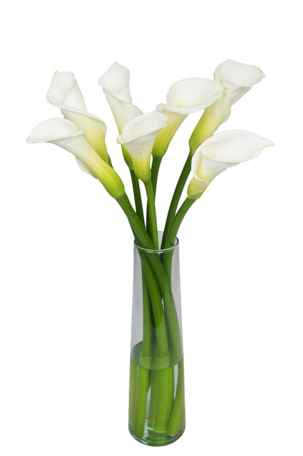 7 Fresh Cut White Calla Lilies By Arabella Bouquets With A Free Elegant Hand-blown Glass Vase (fresh-cut Flowers, White)