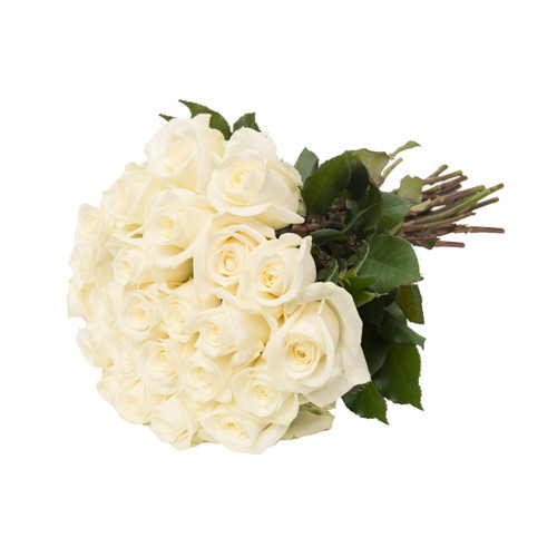 White Roses Gift - 40 Cm - Fresh Cut Flowers - 24 Stems - By Bloomingmore