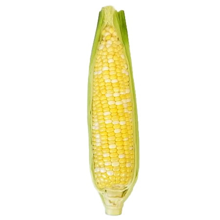 Sweet Corn On The Cob, Fresh Corn, 1 Ea