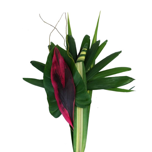 Assorted Colors Amazonas Farm Choice Foliage Bunch - Fresh Cut - 120 Stems