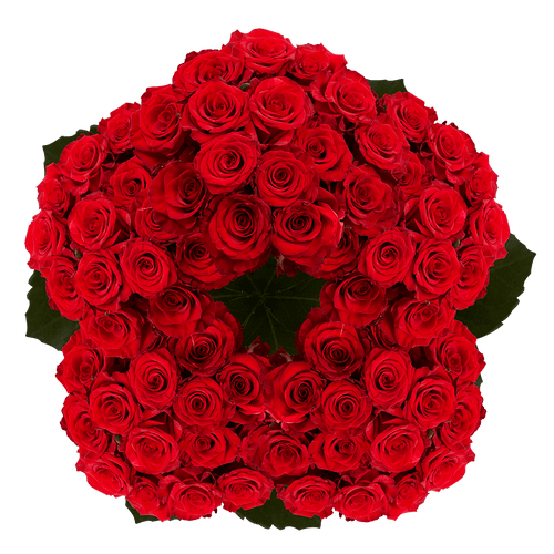 250 Stems Of Red Paris Roses- Fresh Flower Delivery
