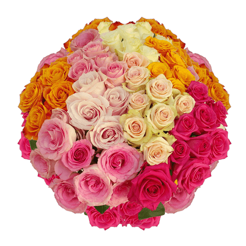 50 Assorted Roses- 2 Different Colors- Fresh Flowers For Birthdays, Weddings Or Anniversary