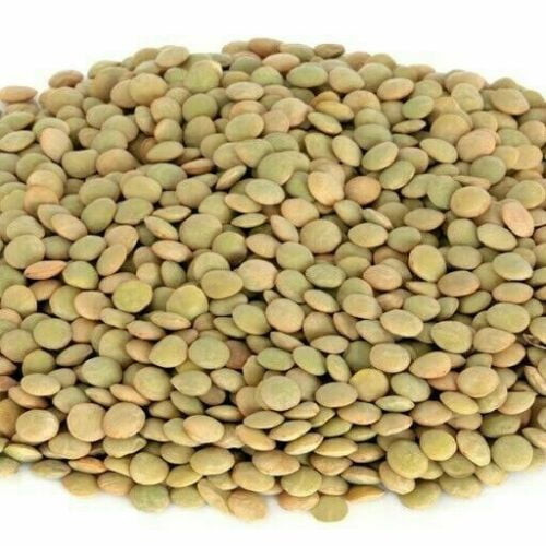 Whole Green Lentils Beans - 1 Lb