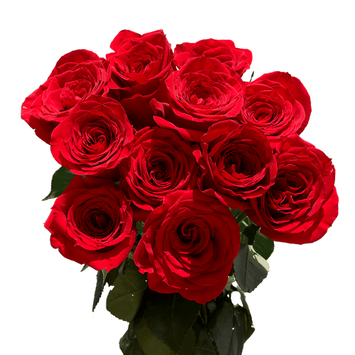 3 Dozen Red Roses