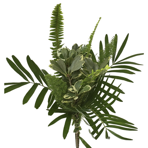 Lady Mixed Greens Bouquet 5 Pack Of Farm Direct Fresh Cut Flower Bouquets Of Mixed Greenery By Bloomingmore