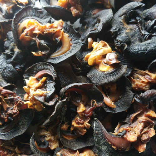 Enerem Giant African Dried Snail / Roasted Snail / Oven Roasted Snail / Igbin