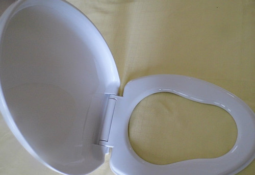 Toilet Training Seat For The Whole Family!