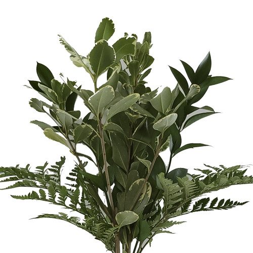 Sovereign Greens Mixed Bouquet 5 Pack Of Farm Direct Fresh Cut Flower Bouquets Of Mixed Greenery By Bloomingmore