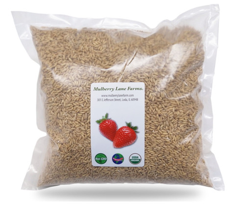 Oats Whole Groats Hulled 10 Lbs (ten Pounds) 100% Usda Certified Organic, Non-gmo, Bulk By Mulberry Lane Farms